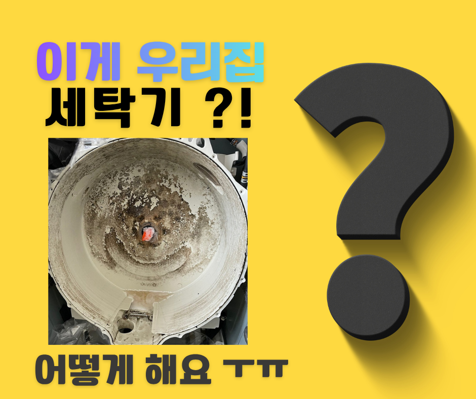 770c8cfc9179f.png