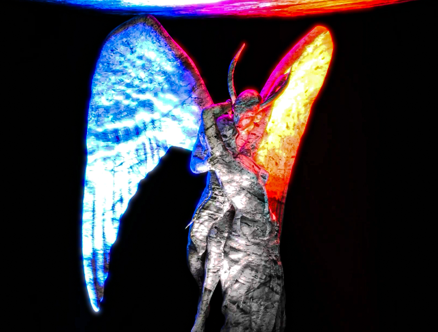 0d2f275b71320.png