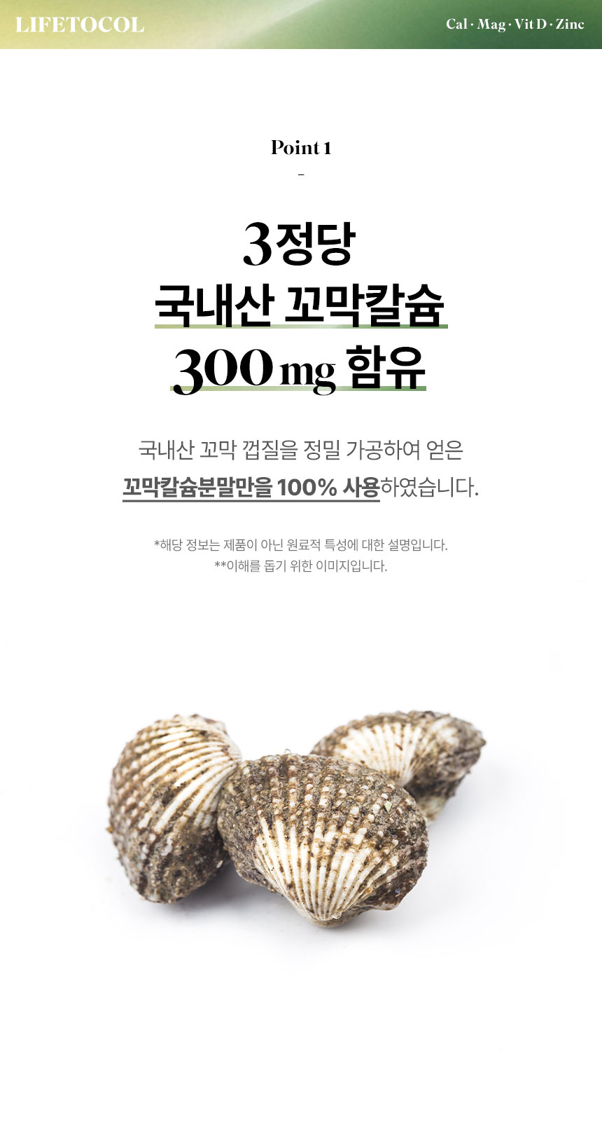 라이프토콜 뼈 영양 칼마디 칼슘 마그네슘 비타민D 아연 300정 영양제