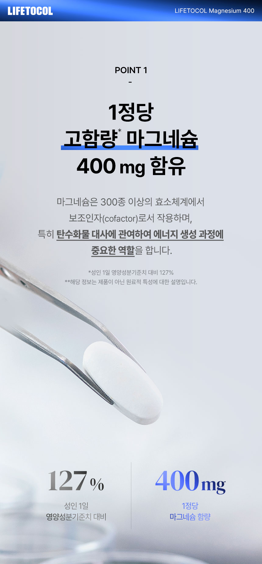 라이프토콜 에너지 이용 신경과 근육 기능 유지 마그네슘 400 영양제 보충제 100정