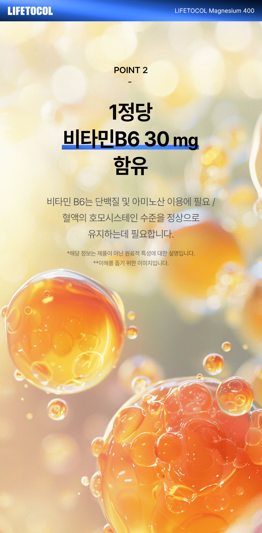 라이프토콜 에너지 이용 신경과 근육 기능 유지 마그네슘 400 영양제 보충제 100정