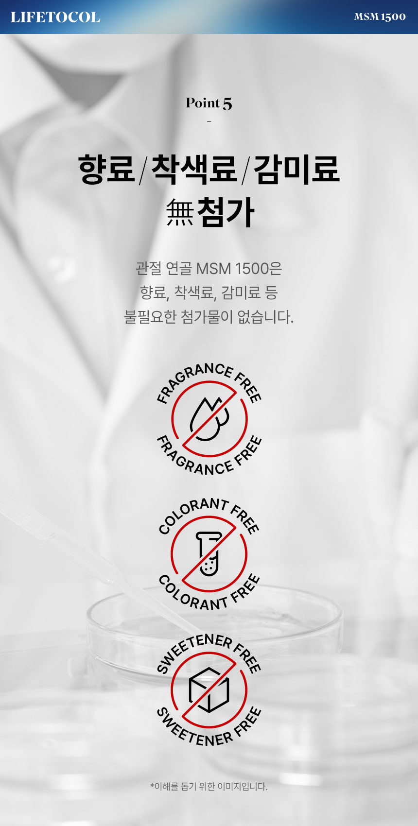 라이프토콜 관절 연골 MSM 영양제 1500 300정