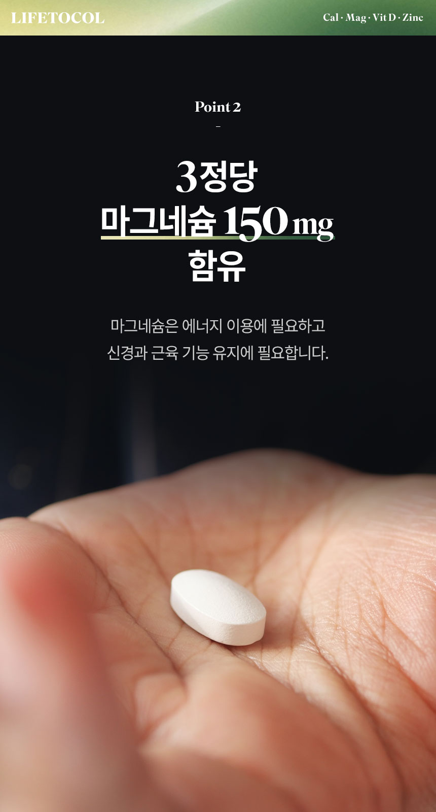라이프토콜 뼈 영양 칼마디 칼슘 마그네슘 비타민D 아연 300정 영양제