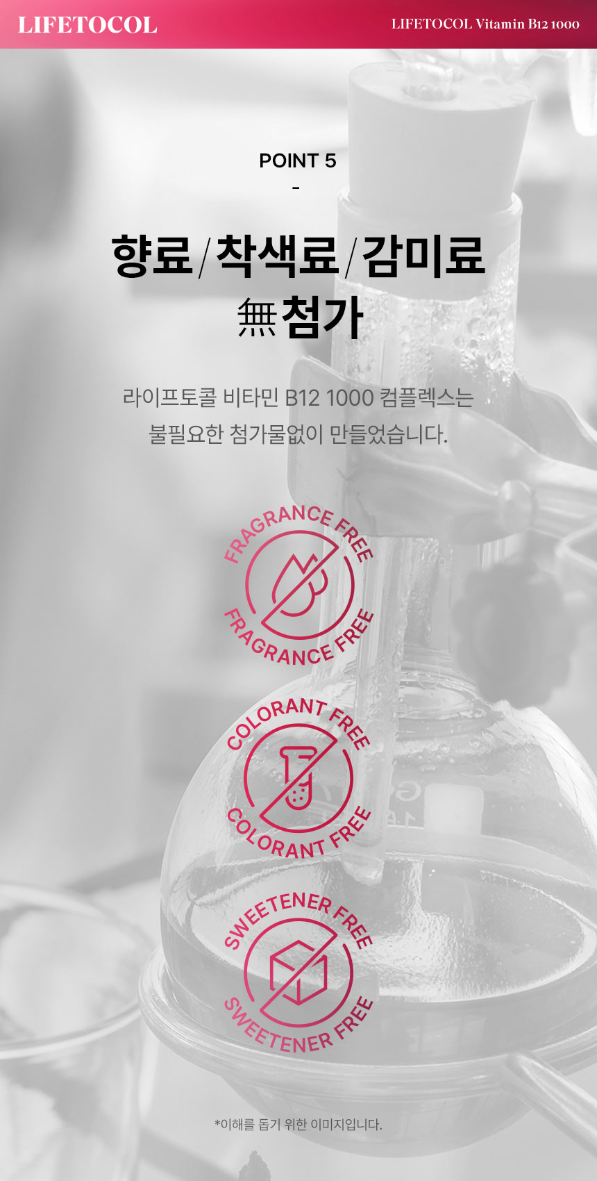 라이프토콜 비타민 B12 영양제 1000 250정