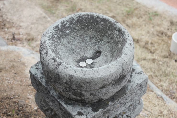 c50a8e130960e.png