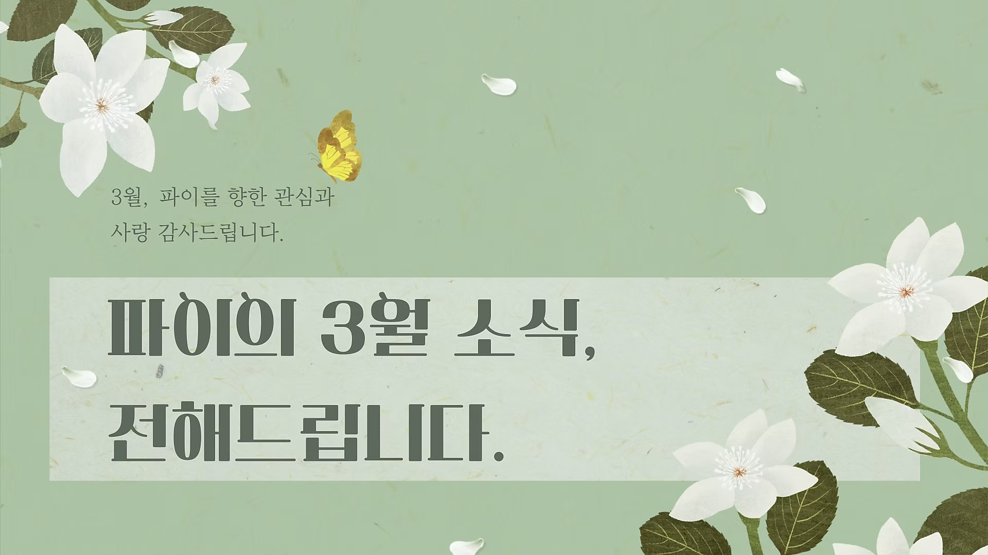 8b6a551c33292.png