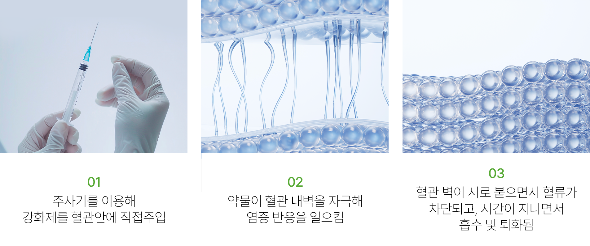 상단 이미지