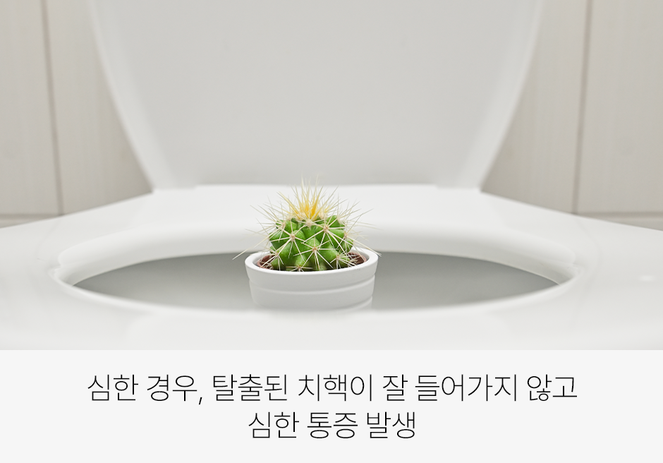 증상 이미지 4