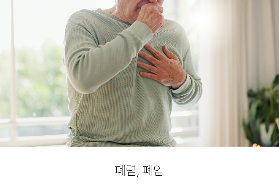 증상 이미지 3