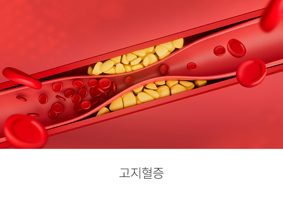 증상 이미지 3