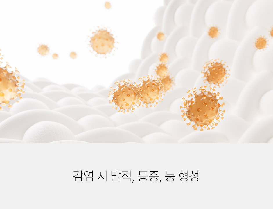 증상 이미지 4