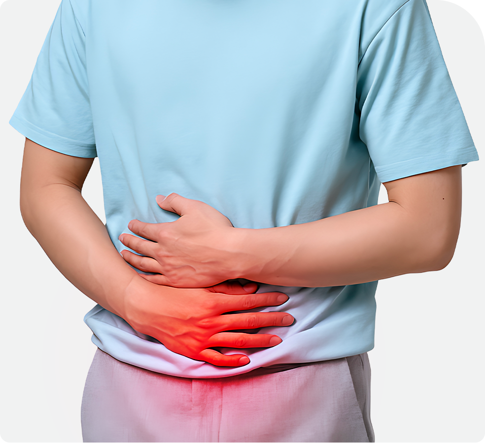 치핵 설명 이미지