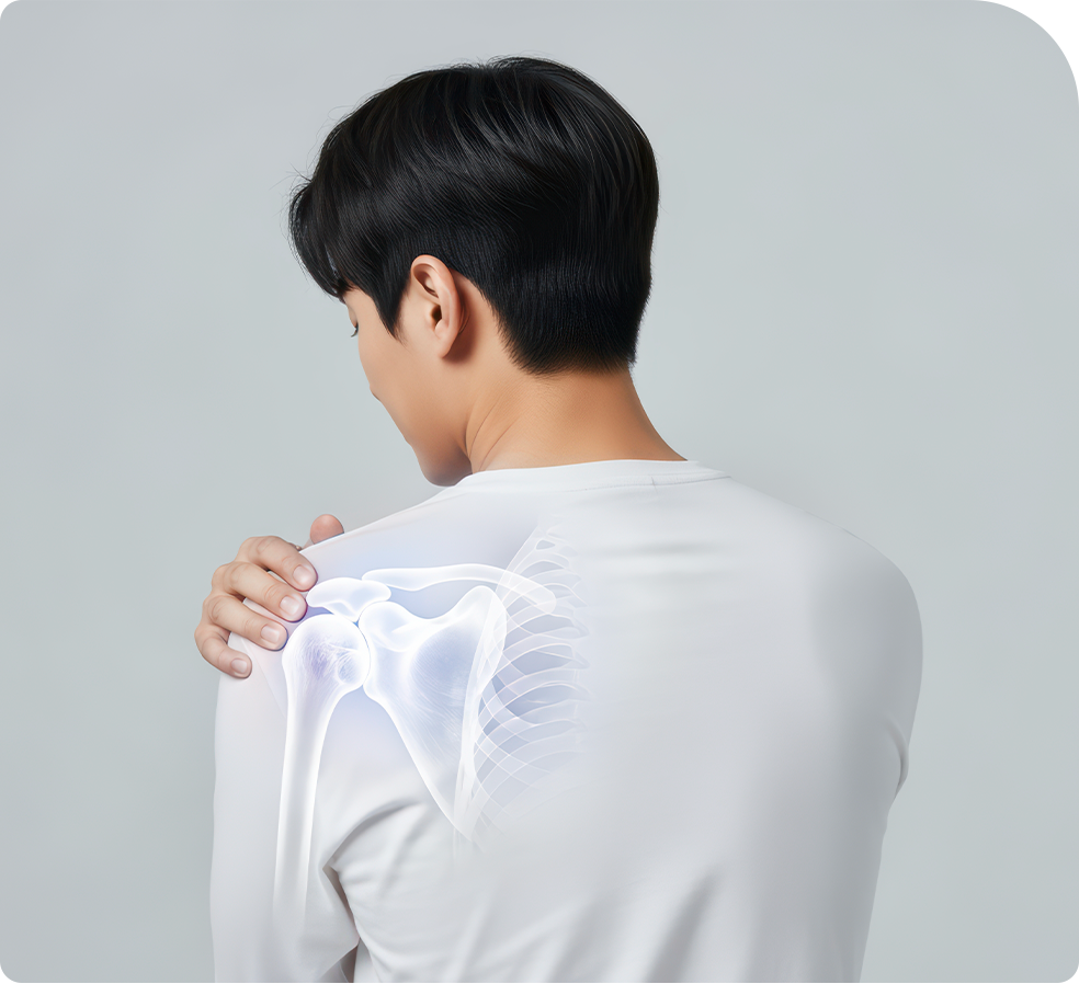 치핵 설명 이미지
