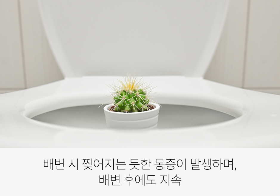 증상 이미지 2
