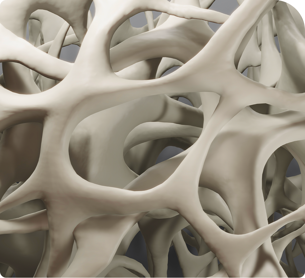 치핵 설명 이미지