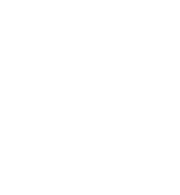 sy convention