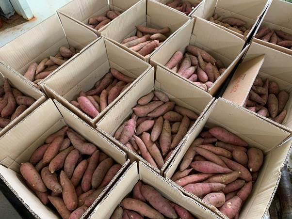 음식, 소시지, 채소, 실내이(가) 표시된 사진

AI 생성 콘텐츠는 정확하지 않을 수 있습니다.