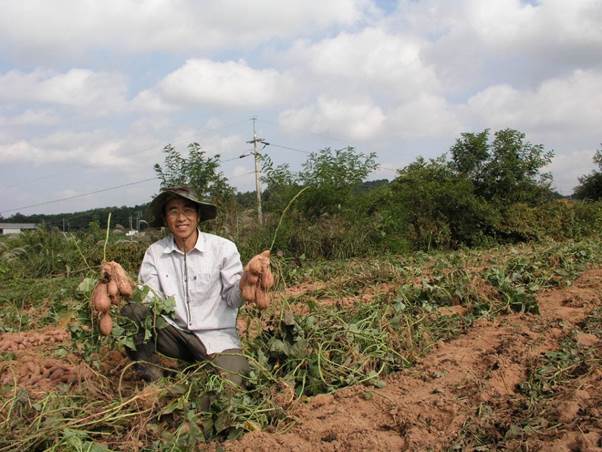 야외, 하늘, 사람, 농업이(가) 표시된 사진

AI 생성 콘텐츠는 정확하지 않을 수 있습니다.