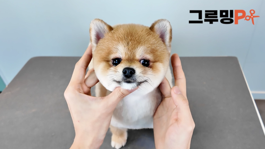 79496d55c784f.png