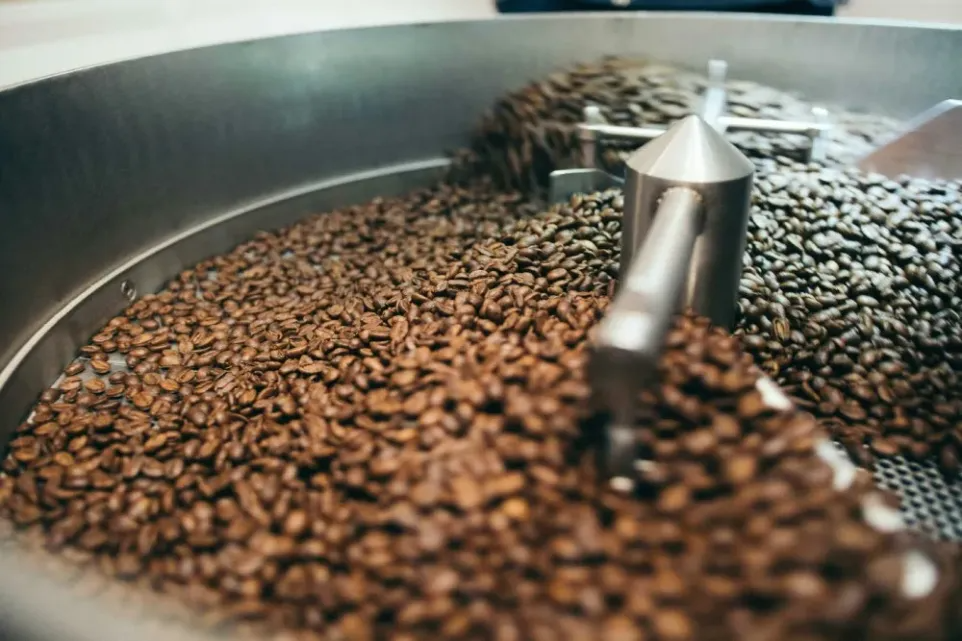 Roasted coffee beans cooling in a roaster tray.