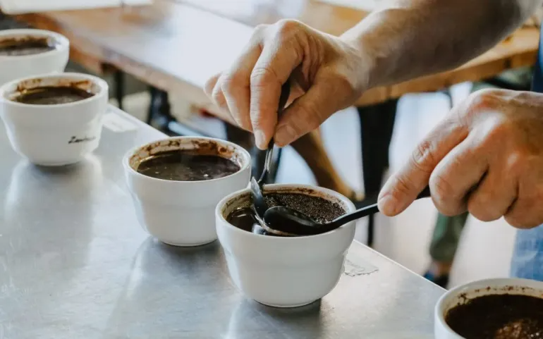 A coffee professional samples coffee in a cupping session.