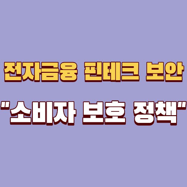 전자금융 핀테크 보안 이슈 및 소비자 보호 정책