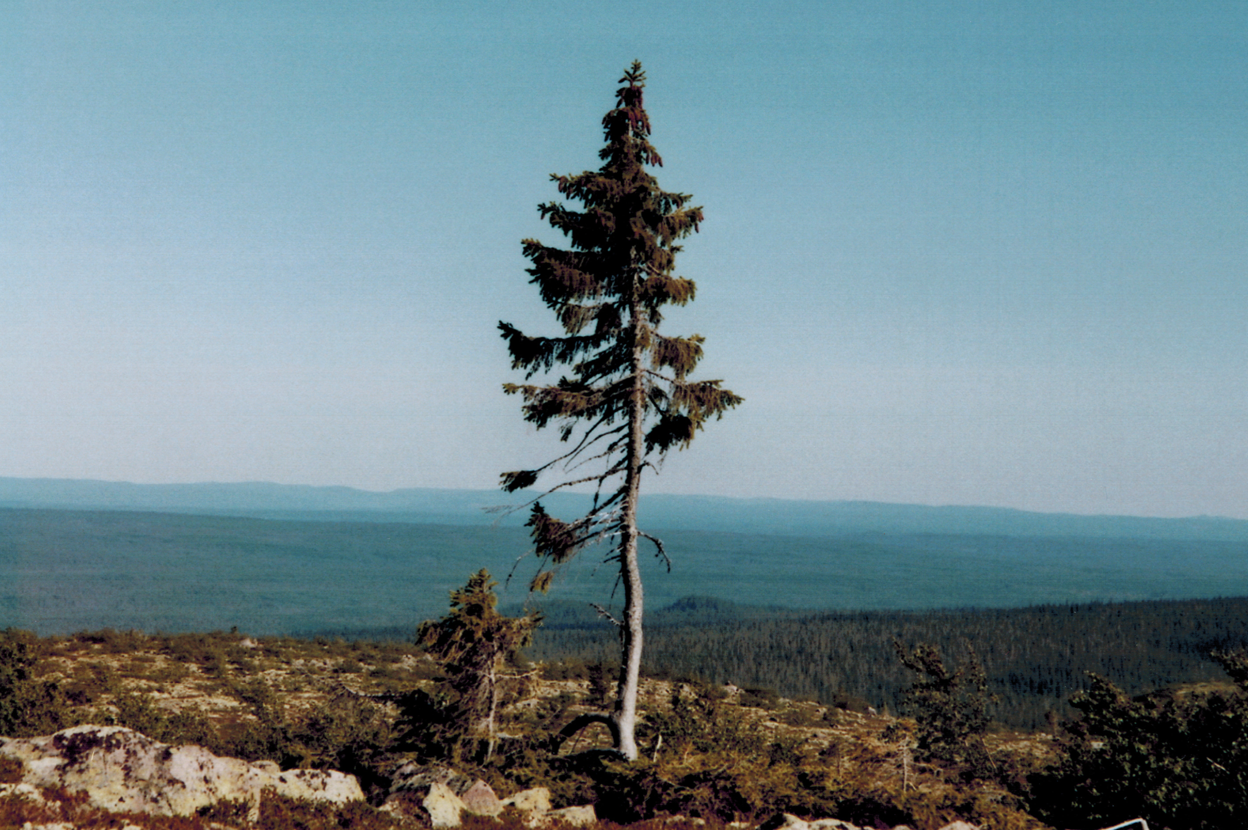 aeadd279454f3.png