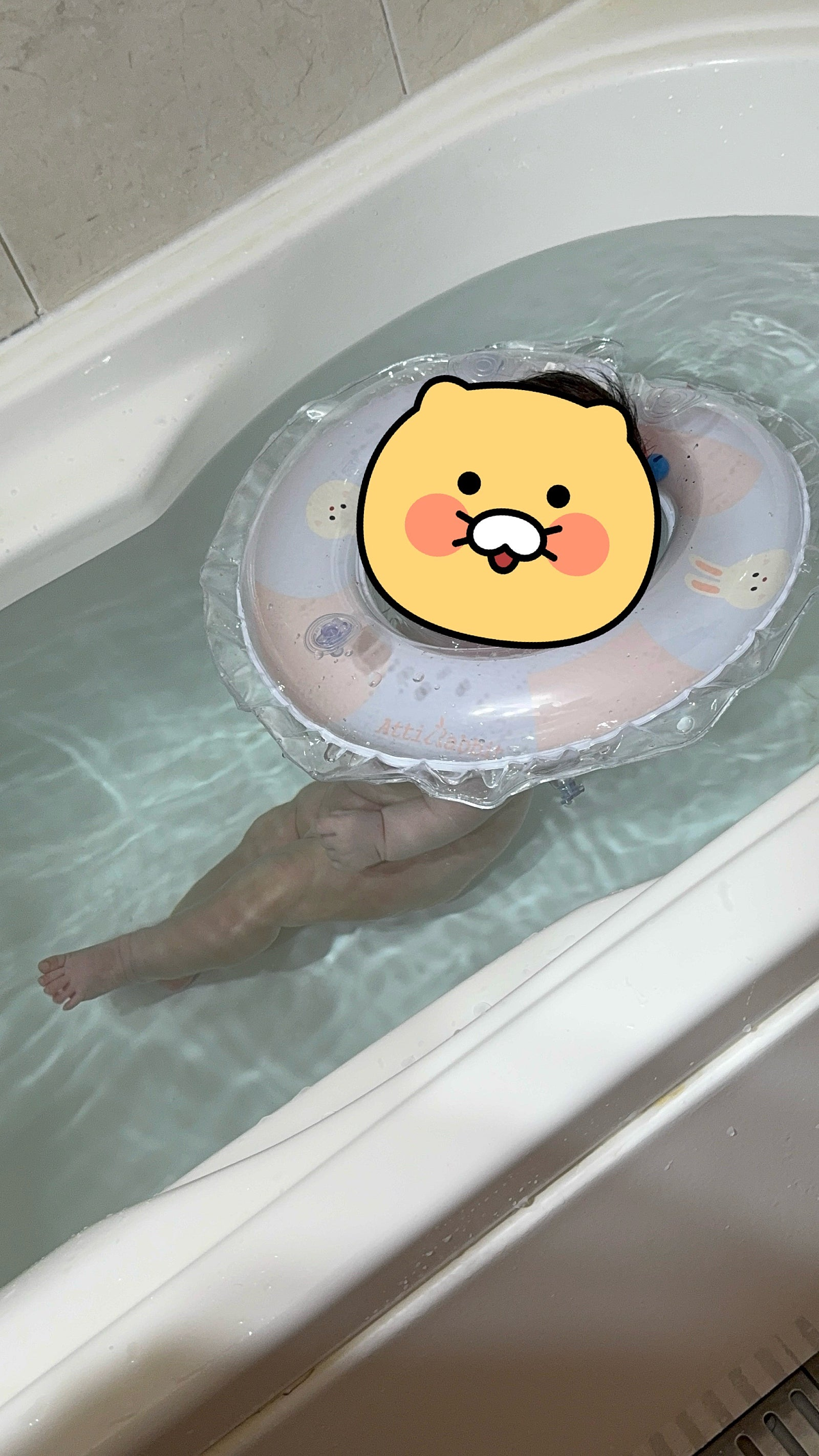 279cddcd5c03b.png