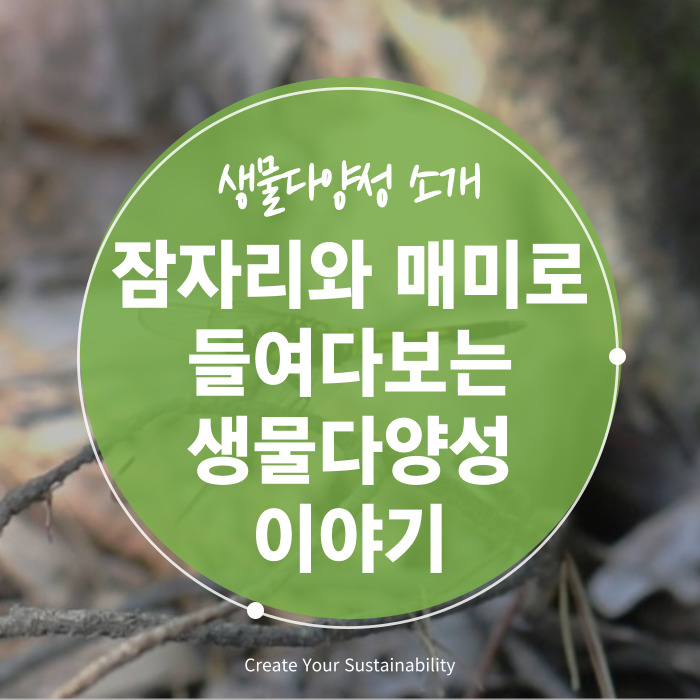 1807392db7c02.png