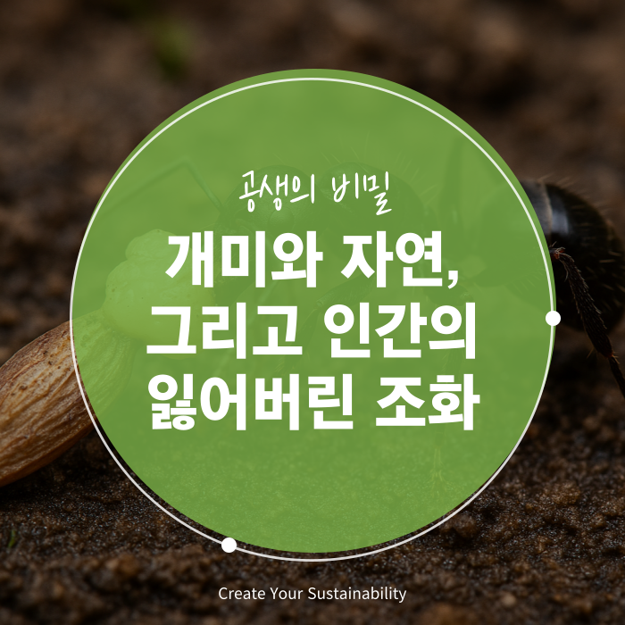 59516c3714235.png