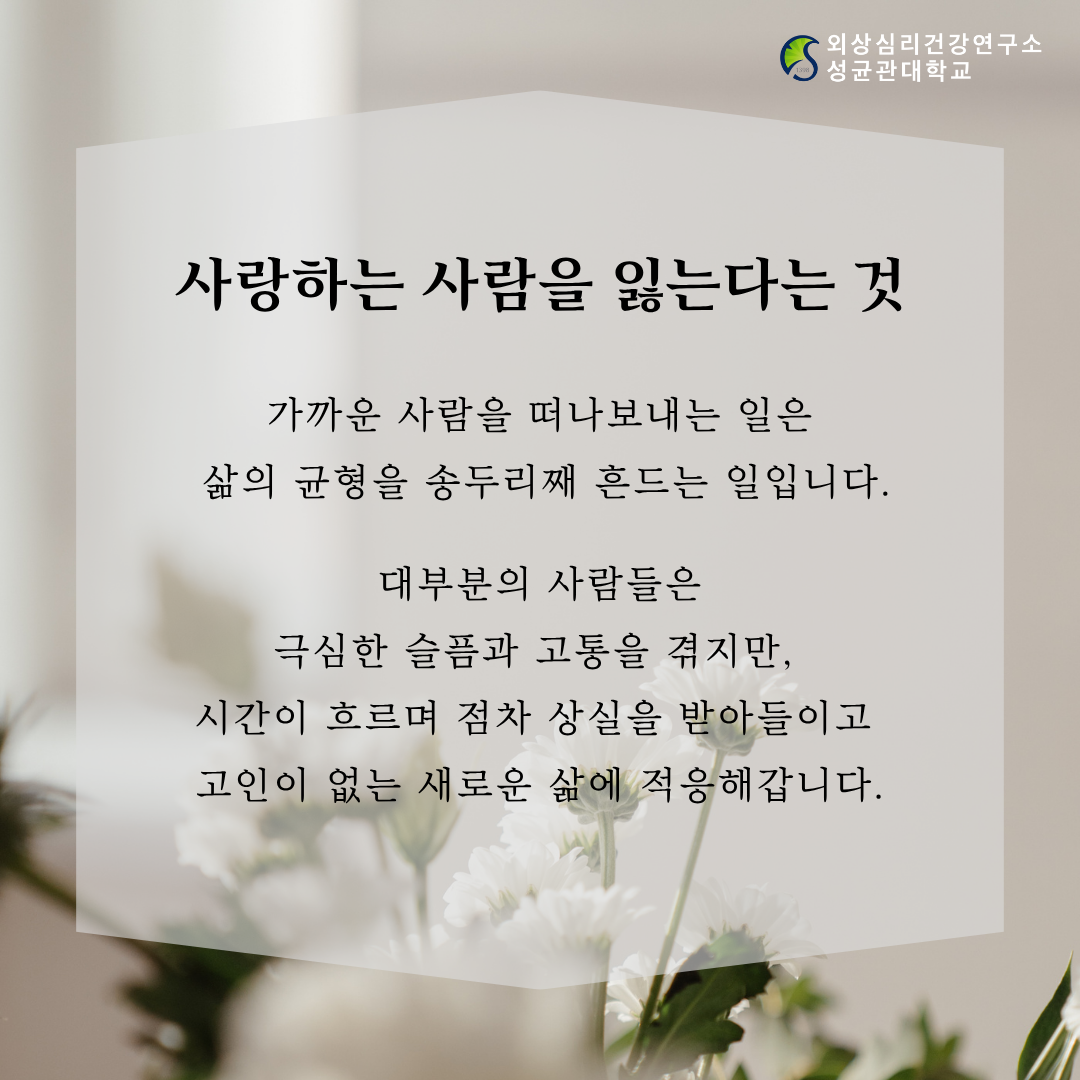 419344126fe1d.png