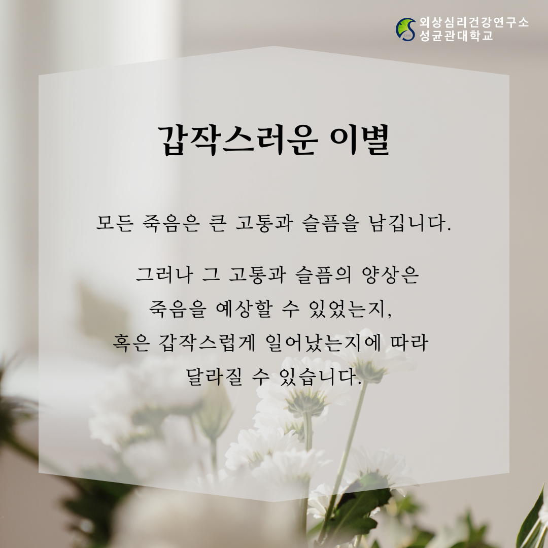 ea86942161f7e.png