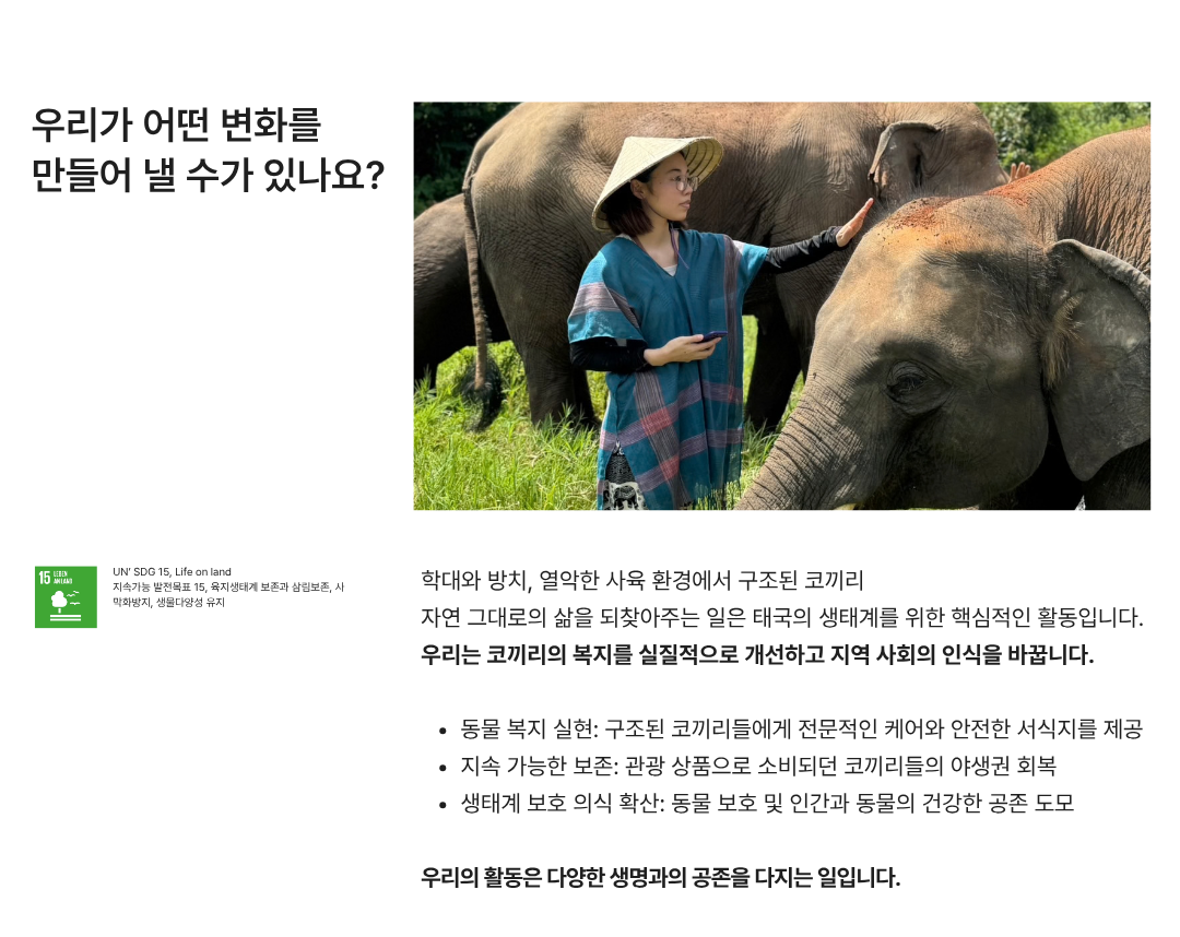 태국 코끼리 보호센터에서 진행하는 코끼리 돌봄 및 복지 봉사활동