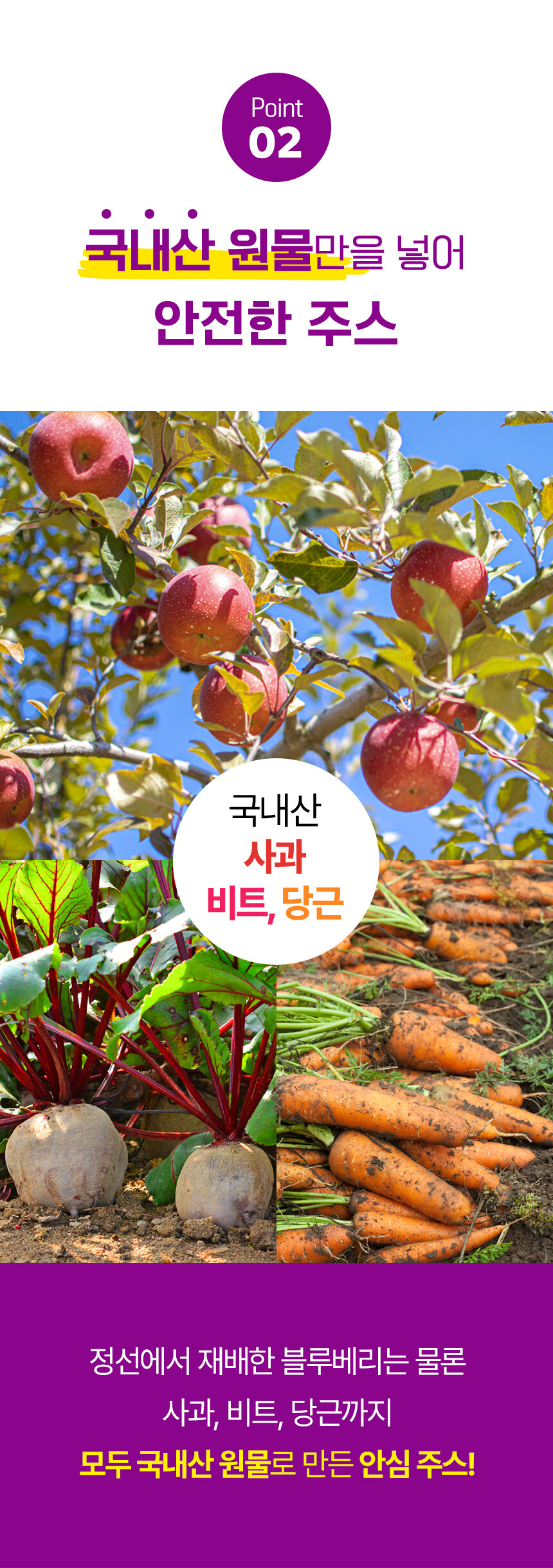 블루베리 ABC주스 | 국내산 과채주스 100ml × 25포
