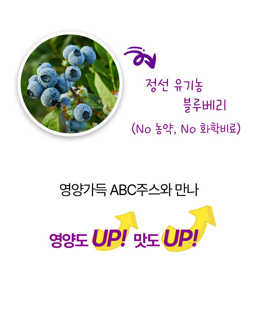블루베리 ABC주스 | 국내산 과채주스 100ml × 25포