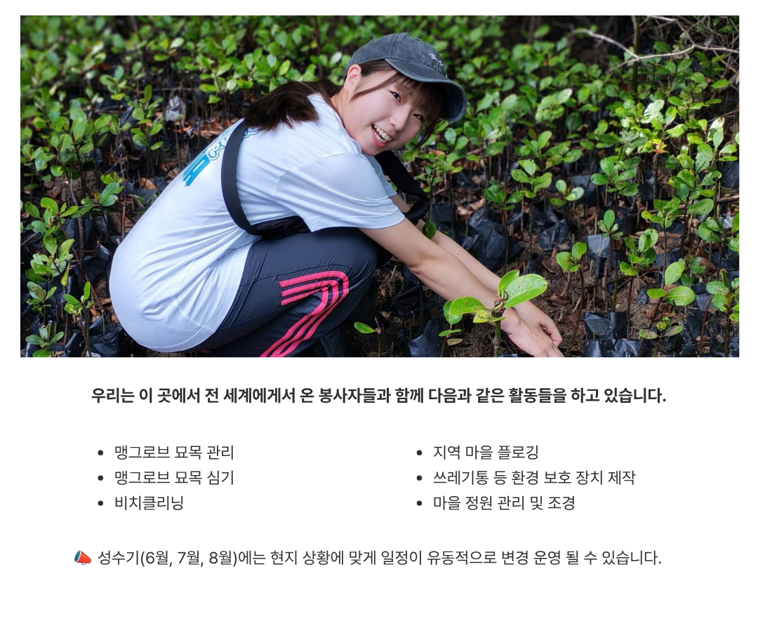 맹그로브 나무 심기와 해안 생태계 복원 활동을 진행하는 해외봉사 참가자들