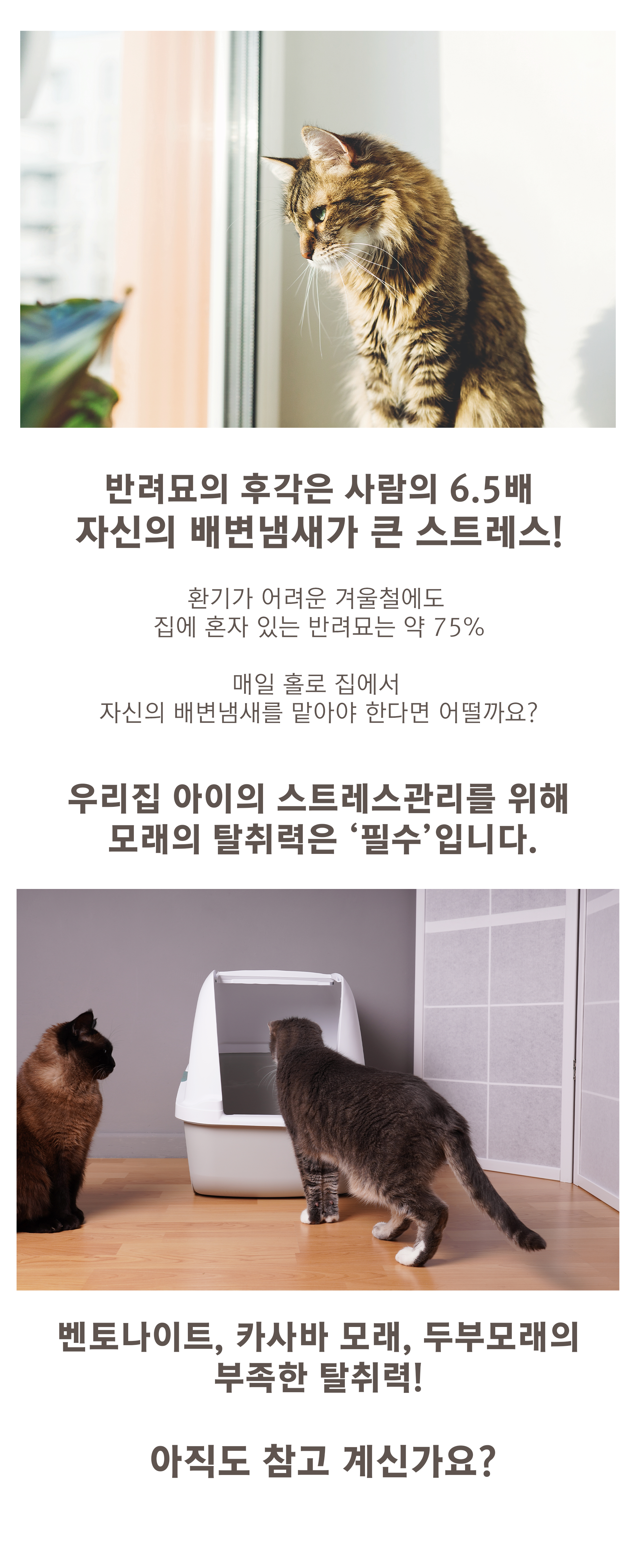 커피박 고양이 모래