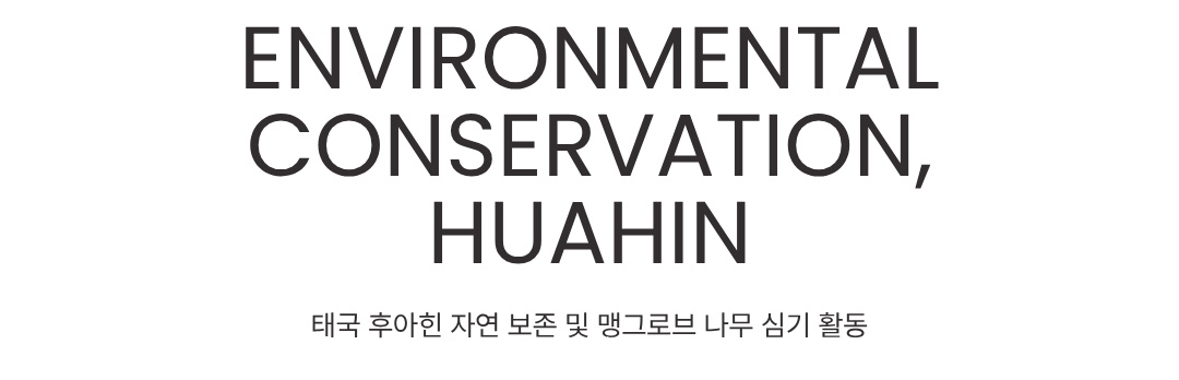 태국 후아힌 맹그로브 숲 보전 해외봉사 프로그램｜프릿지 환경보호 봉사활동
