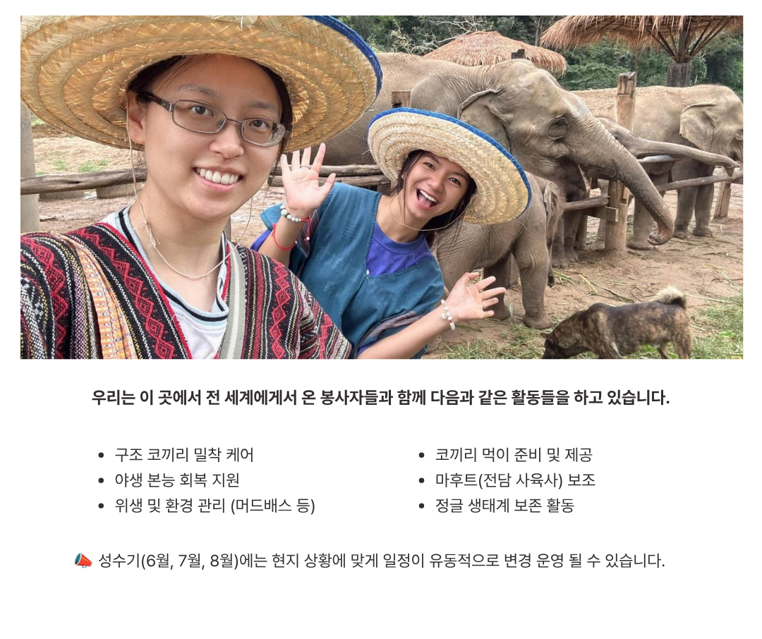 코끼리 복지와 동물보호를 위한 치앙마이 해외봉사 활동 소개
