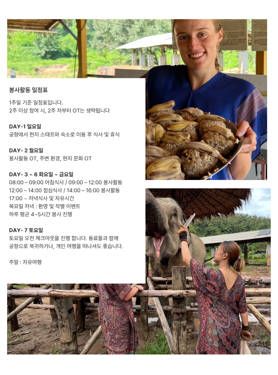 프릿지 치앙마이 해외봉사 예약 절차와 출국 전 오리엔테이션 안내