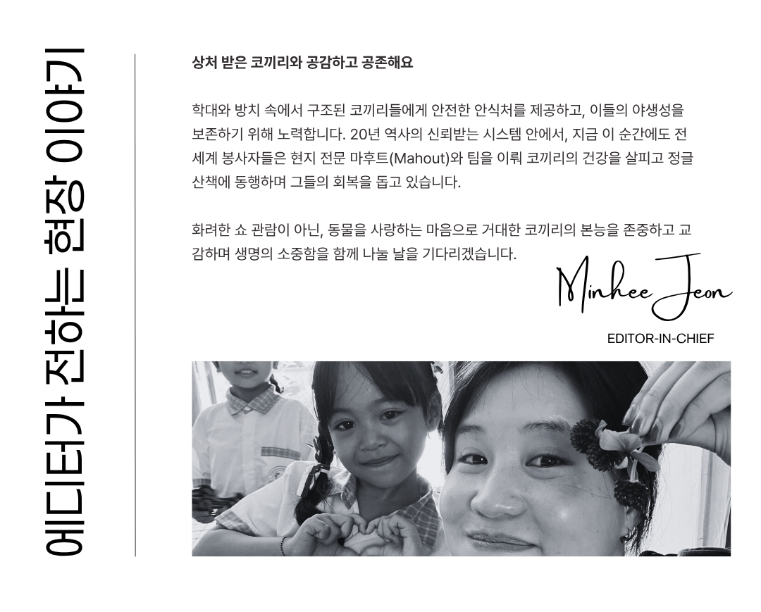 실제 참가자가 전하는 태국 치앙마이 코끼리 해외봉사 후기