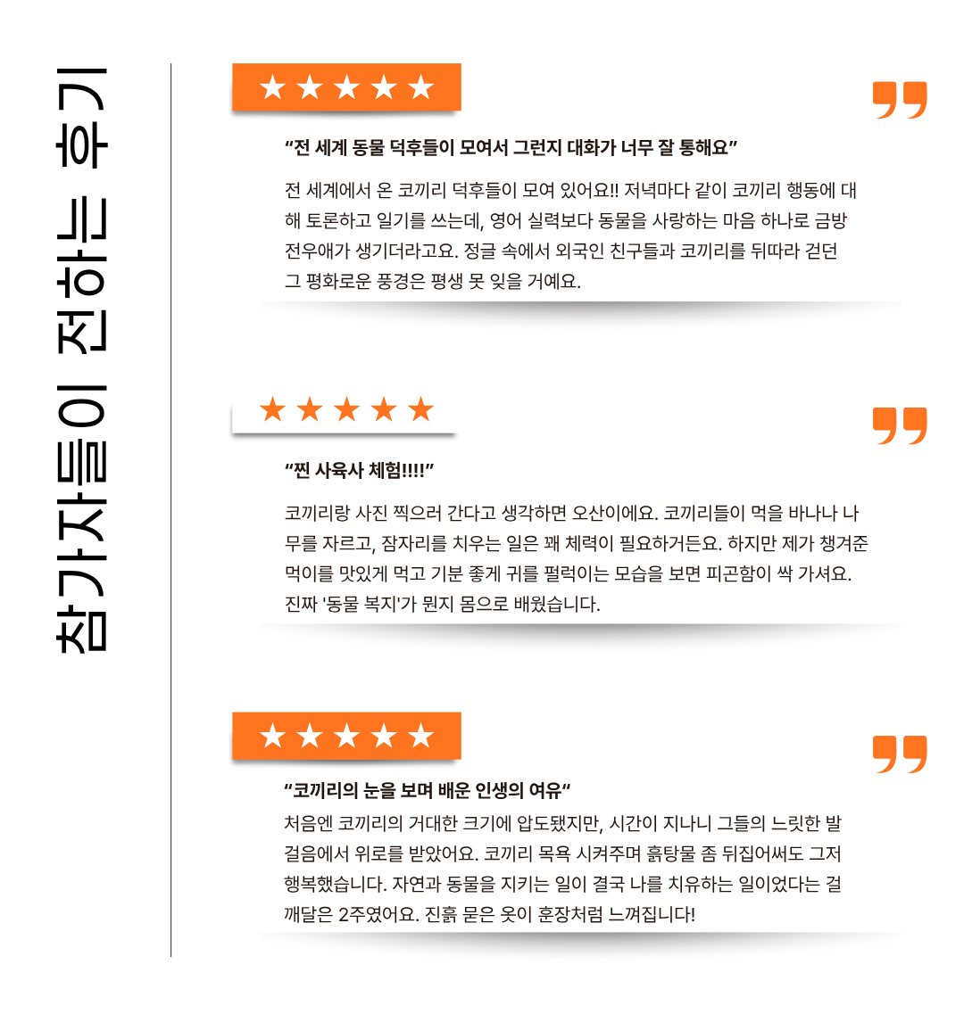 치앙마이 코끼리 복지 해외봉사 일정과 프로그램 구성 안내