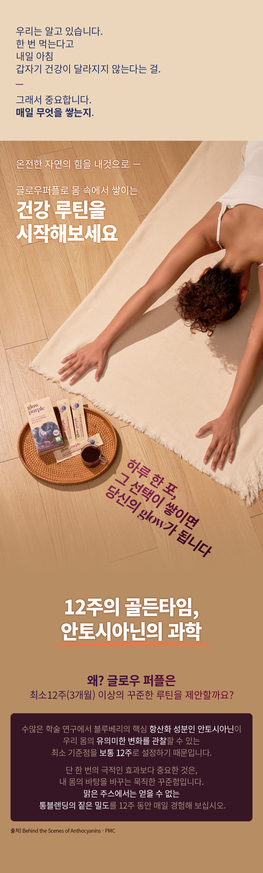 [최대23%할인]글로우퍼플홀스틱12박스