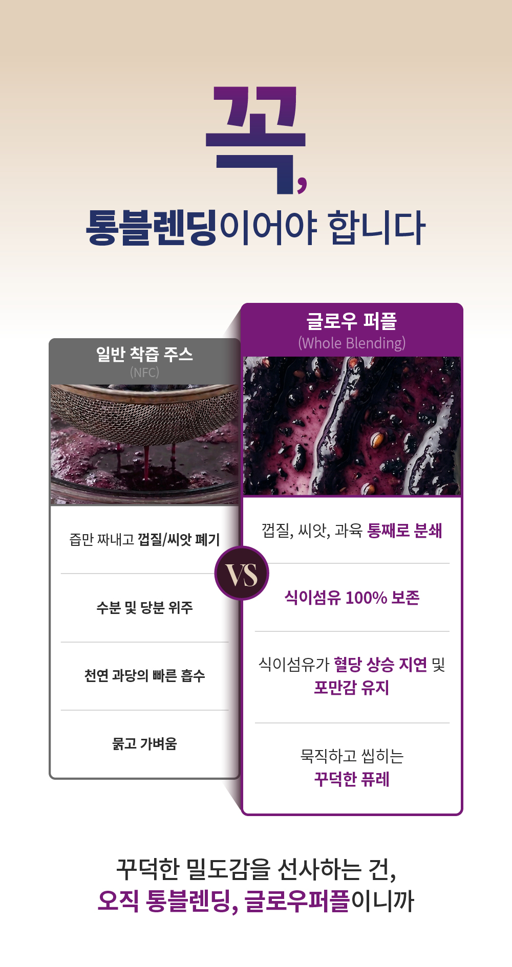 [최대15%할인]글로우퍼플홀스틱2박스