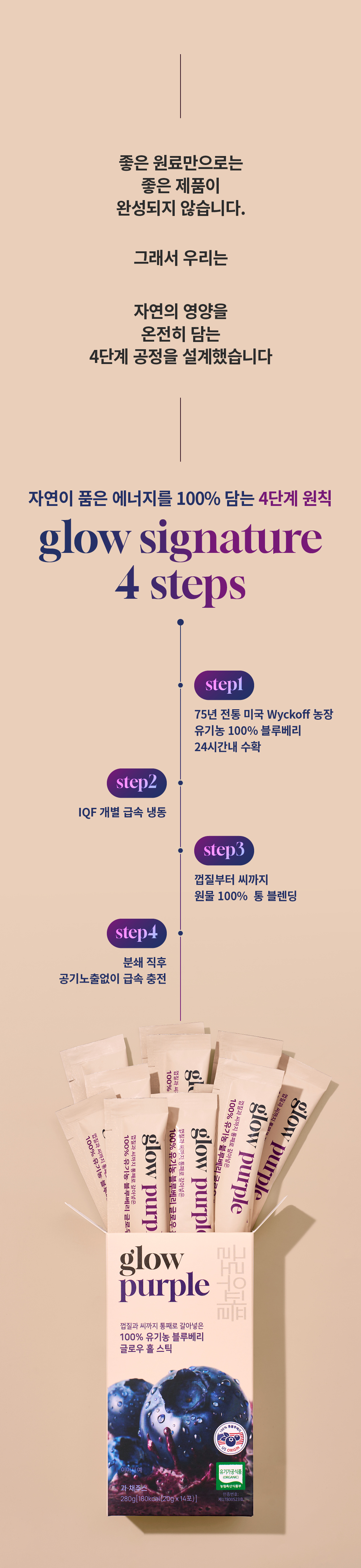 [최대23%할인]글로우퍼플홀스틱12박스