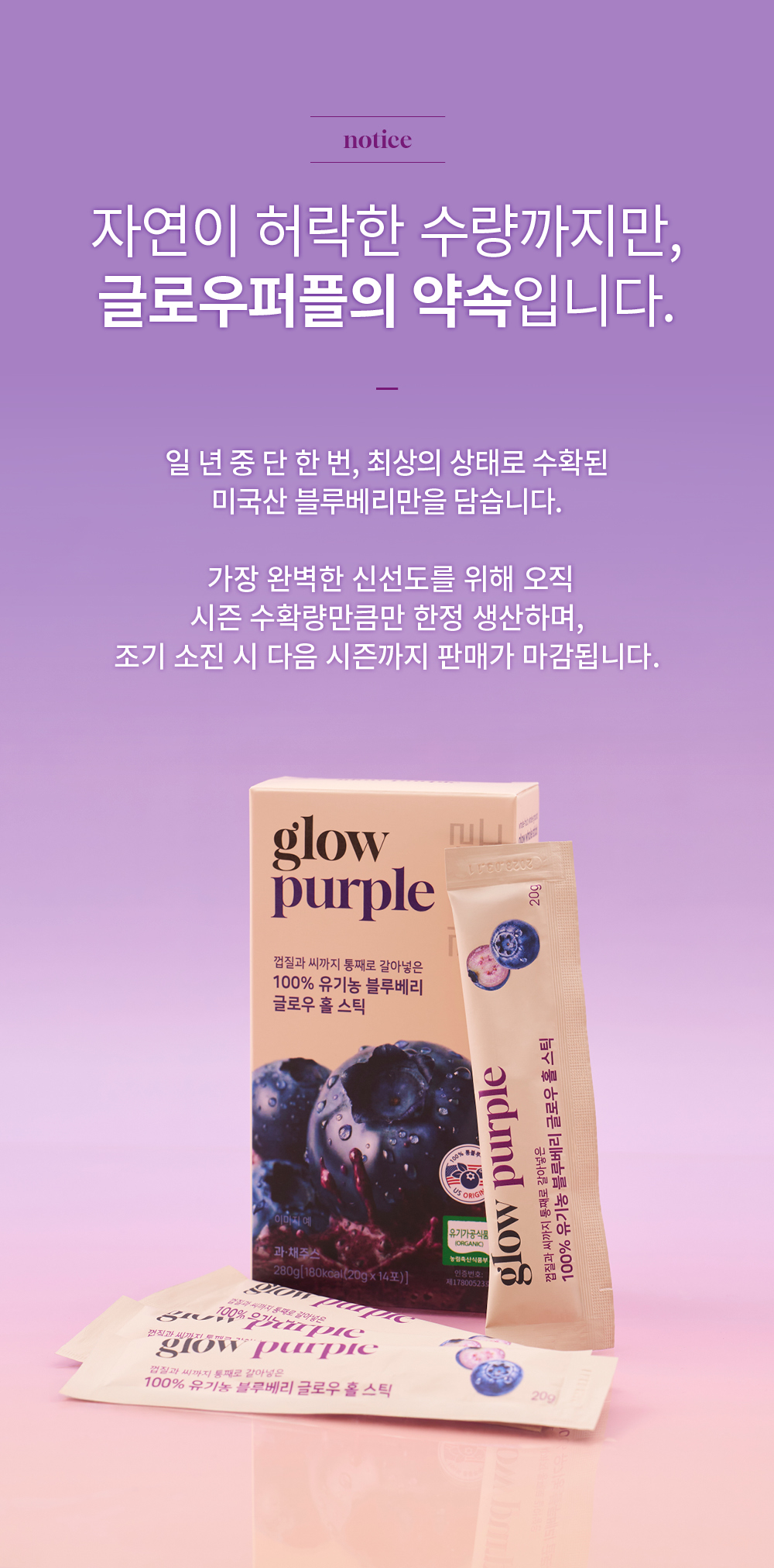 [최대23%할인]글로우퍼플홀스틱12박스