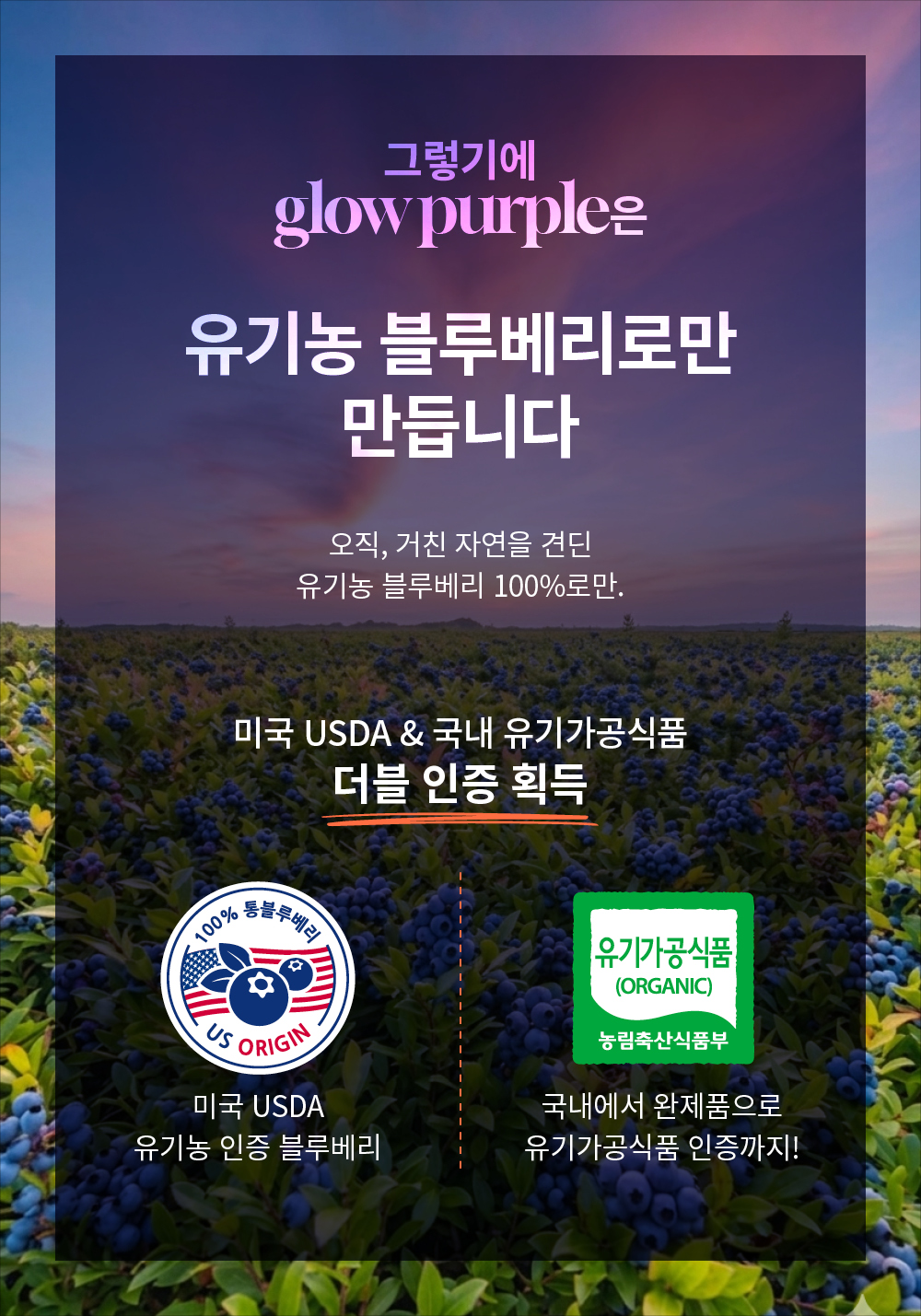 [최대15%할인]글로우퍼플홀스틱2박스