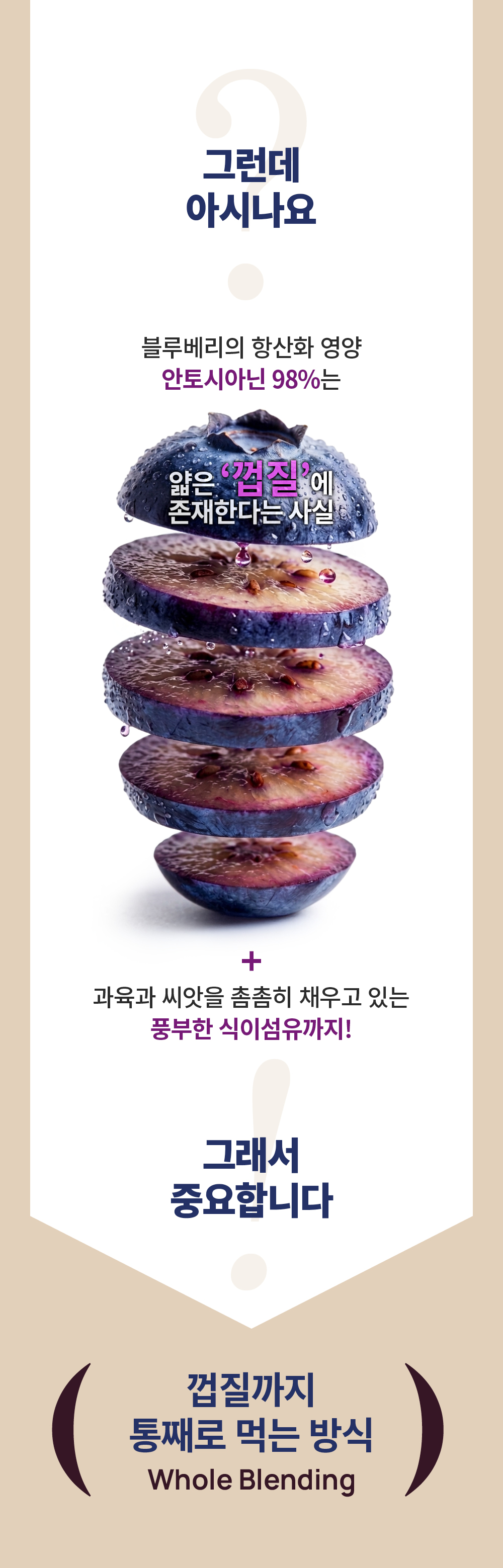 [최대10%할인]글로우퍼플홀스틱1박스