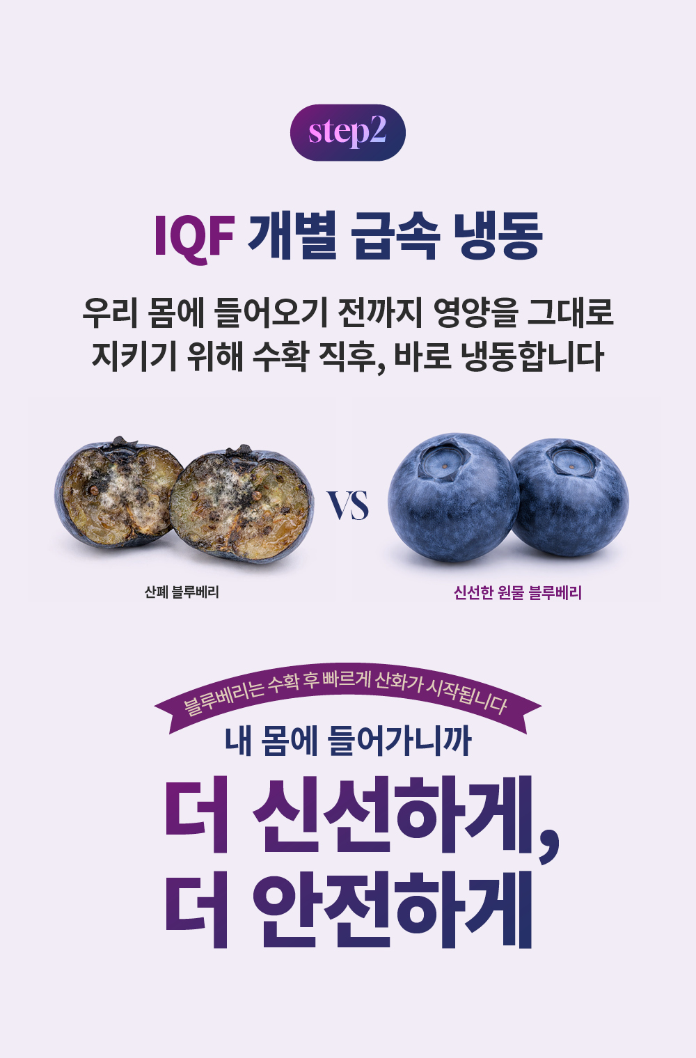 [최대15%할인]글로우퍼플홀스틱2박스