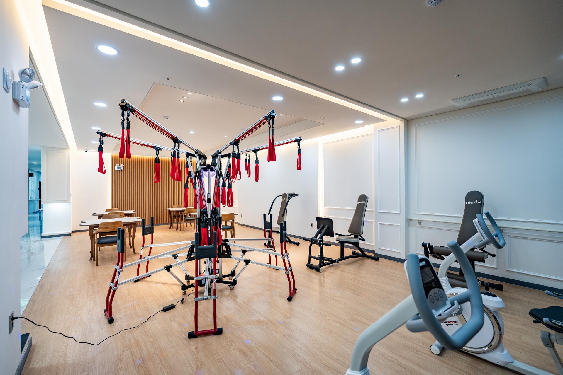 기본 신체 기능 운동